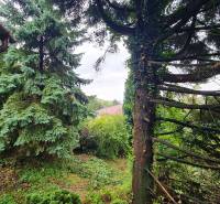 A garden with dense green trees and shrubs, Housing development, Bratislava - Dúbravka, Tavarikova osada.