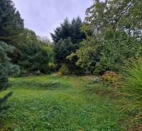 A garden with dense greenery, trees, and a lawn in a residential development, Bratislava - Dúbravka.