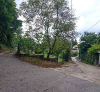 Paths between trees in Tavarikova Settlement in Bratislava - Dúbravka, construction of houses.