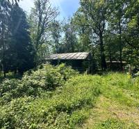 A cottage in Harmónia, Modra, surrounded by dense greenery and forest environment.