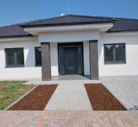 A family house on Adyho Street in Dunajská Streda with a walkway, garden, and gray roof.