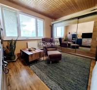 Living room in a two-room apartment with a wooden ceiling, purple armchair, large mirrored wardrobe.