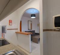 The kitchen of a holiday apartment with a view into the living room and cooking equipment.