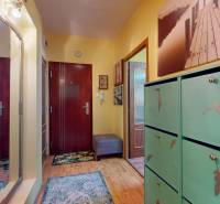 Entrance hallway in a 3-room apartment with wooden floors and a green shoe cabinet.