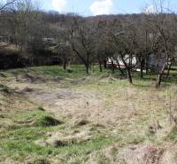 Garden on Myslavská Street and Gardens, trees, grass, gently sloping terrain, peaceful location.