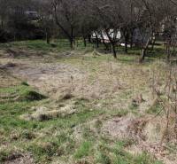 A grassy area with fruit trees on Myslavská and Záhrady streets, ideal for relaxation.