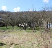 Land with fruit trees, nature on Myslavská and Záhrady streets, clear sky.