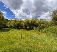 Gardens in Baška near Myslavská Street surrounded by lush greenery and clouds.