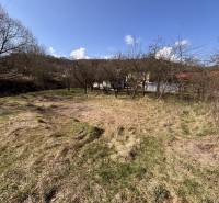 A garden with grass and trees on Myslavská Street and Záhrady, the sky is clear.