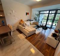 Bright living room in a 2-room apartment with a comfortable sofa and a large window.
