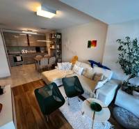 Living room and kitchen in a 2-room apartment with a comfortable sofa and decorations.