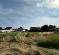 Plots - housing in Slovenská Nová Ves; overgrown field with neighboring houses in the background.