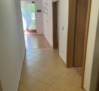 A hallway with tiles in a 3-room apartment, in the background a large window with a curtain.