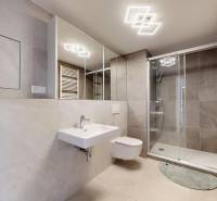Bathroom in a 2-room apartment with a shower and mirrors on the walls.