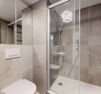 Bathroom with shower and toilet in a 2-room apartment.