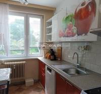 A kitchen in a 3-room apartment with a large window, red cabinets, and fruit decorations.