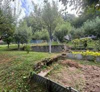 A garden with trees, grass, and a terrace, offering a peaceful environment for a **cottage**.