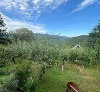 The picture shows fruit trees, hills, a cottage, and a blue sky.