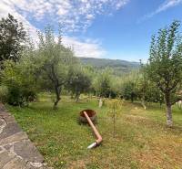 Orchard, nature, trees, mountains, terrace, lawn, sky, cottage in the heart of the countryside.
