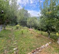 A garden with fruit trees, a stone path, surrounded by nature, ideal for relaxation at the cottage.