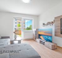 Living room in a two-room apartment with a sofa, television, and access to the terrace.