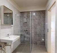 A bathroom with a shower and a sink in a 2-room apartment.