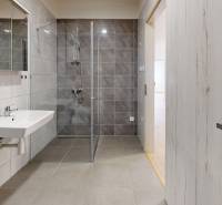 A bathroom with a shower and a sink in a 2-room apartment.