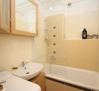 Bathroom with a shower, sink, and washing machine in a 2-room apartment.