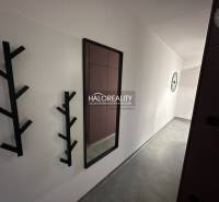 Hallway in a 1-room apartment with lighting and entrance doors to the rooms.
