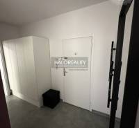 A hallway with a built-in wardrobe and a mirror in a studio apartment.