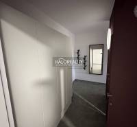 Bathroom with a shower, mirror, and sink in a studio apartment.