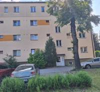 Apartment building in Prešov with parked cars and trees in front of a 4-room apartment.