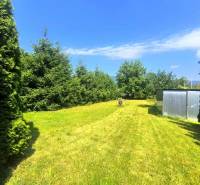 A garden with conifers and a metal shed near a family house in the village of Nitrica.