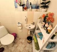 Bathroom in a family house with decorations, shelf, sink, and toilet.