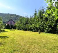 A family house in Nitrica with a large garden surrounded by a dense row of coniferous trees.