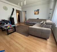 Living room in a family house with a gray sofa and a wood-burning stove.