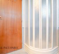A bathroom with massive wooden doors and a shower enclosure in a family house.