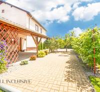 A family house in Sapa with a landscaped garden, terrace, and paved walkway.