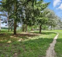 Grassy area with a path and trees on Slnečná Street in Kováčová, plots - housing.