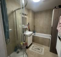A bathroom in a 2-room apartment with a bathtub and a shower, elegant design.