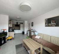 Living room in a two-room apartment with a spacious couch and a kitchenette.