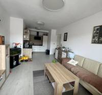 Living room in a two-room apartment with a sofa, table, and kitchenette.