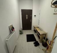 Hallway of a 2-room apartment with wooden flooring, a shoe cabinet, and an entrance door.