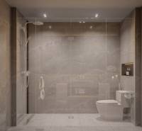 Luxury bathroom in a 3-room apartment with a shower and toilet.