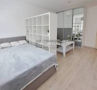 A bright room with a bed, a dividing shelf, and a table in a studio apartment.