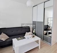 Living area with a sofa, coffee table, and built-in wardrobe in a studio apartment.