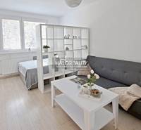 A bright interior of a one-room apartment with a gray sofa, a white table, and a bed behind a partition.