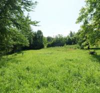 Greenery and trees on the property around Visolaje, ideal for living.