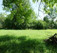 Greenery and trees on plots in Visolaje, ideal for living.