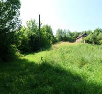 Greenery and a house surrounded by nature in Visolaje, suitable for living. Residential plots.